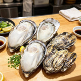 Fresh raw oysters on the half shell with lemon