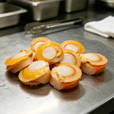 Fresh scallops in their orange shells with roe attached